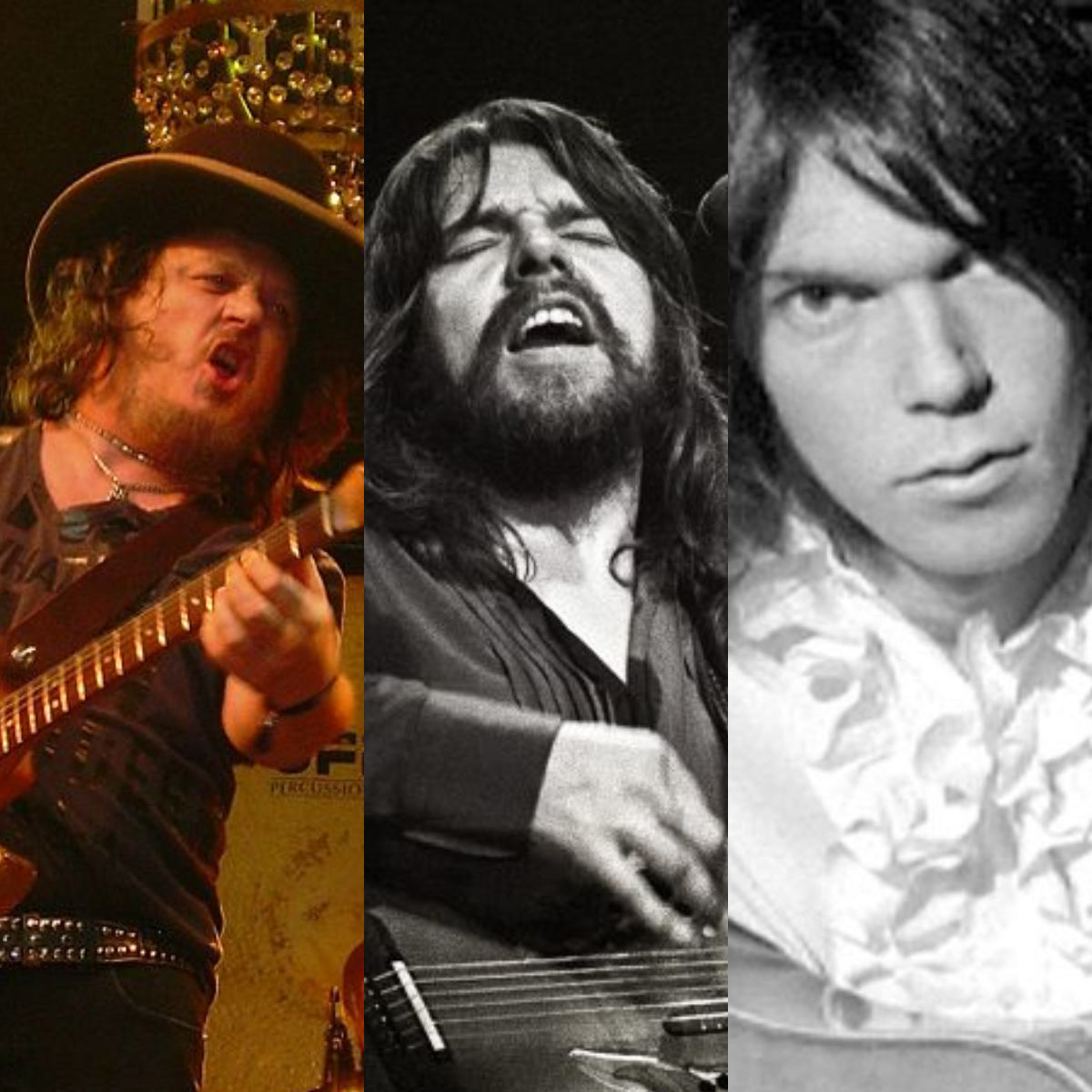 Zucchero vs Bob Seger vs Neil Young